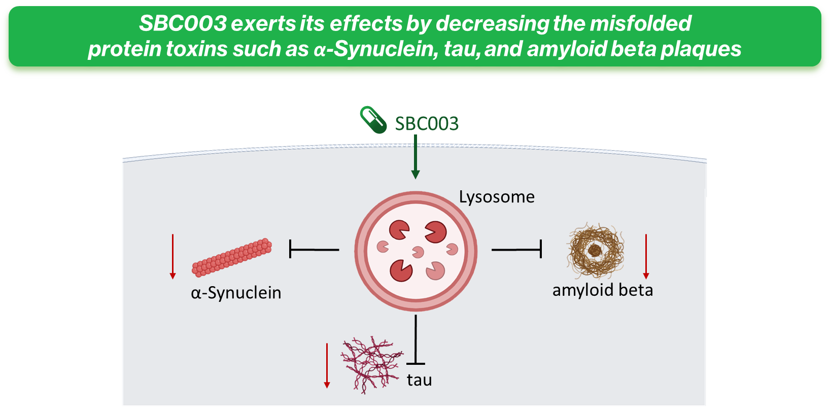 MoA-Lysosome